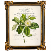 Картина «Порхающий цветок», версия 4, в раме «Селин»