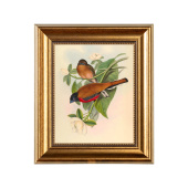 «Серенити», версия 18, картина в раме