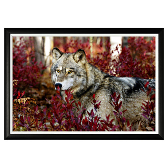 Арт-постер «Вожак стаи»