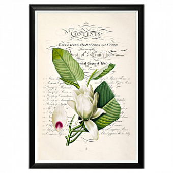 Арт-постер «Неотразимое очарование», версия 1