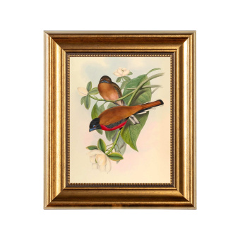 «Серенити», версия 18, картина в раме