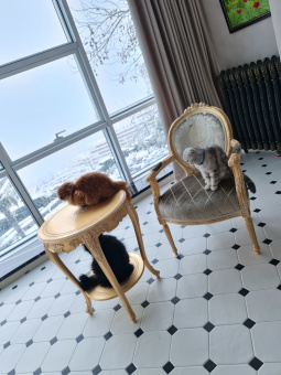 Кофейный столик Николет