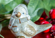 Птица счастья