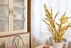 Дача с родословной