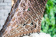 CARTAGENA подвесные качели (коричневый) без каркаса